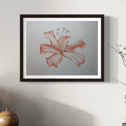 Lily Love